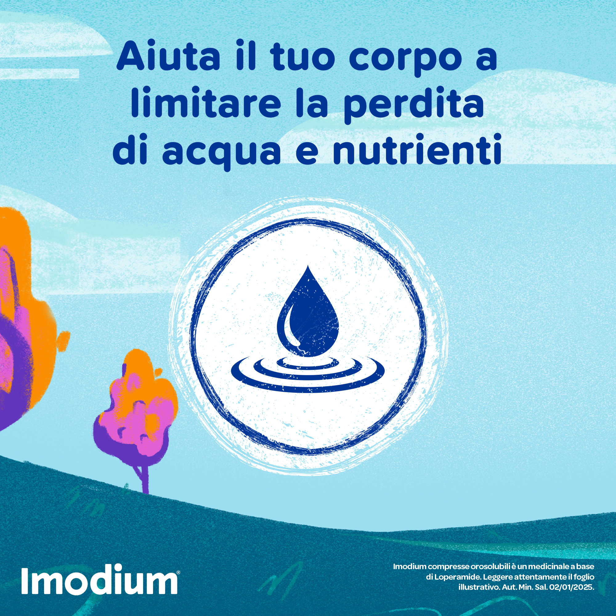 Imodium Diarrea Acuta 12 Compresse Orosolubili Imodium Diarrea Acuta 12 Compresse Orosolubili