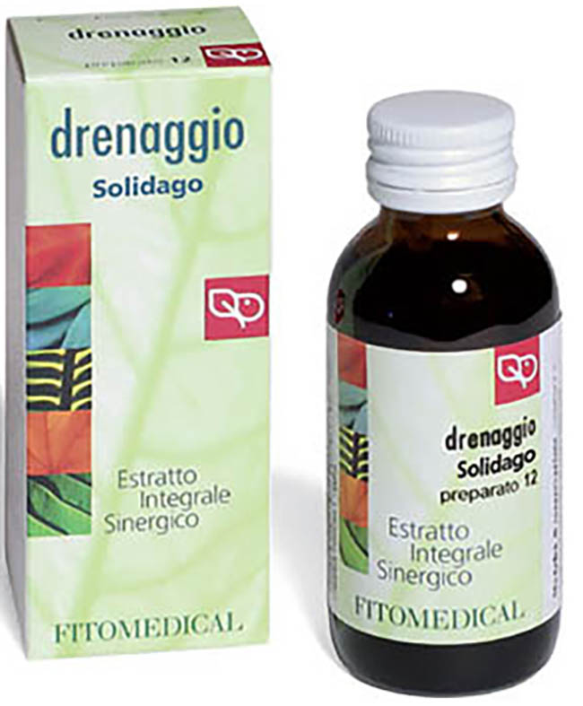 SOLIDAGO EIS PREPAR 12 60ML FTM