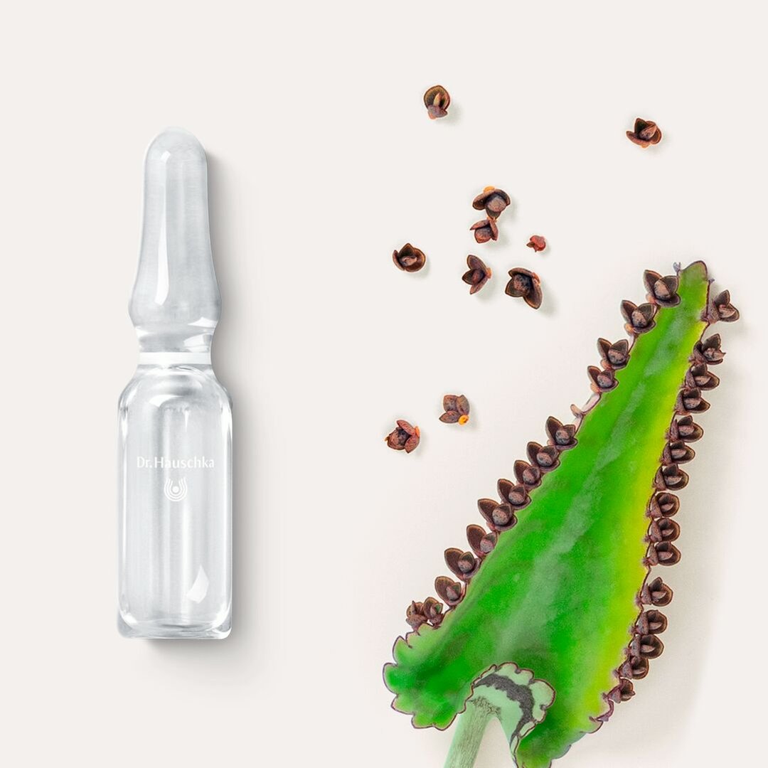 Dr. Hauschka - Cura Di Bellezza Viso Notte 50 Fiale