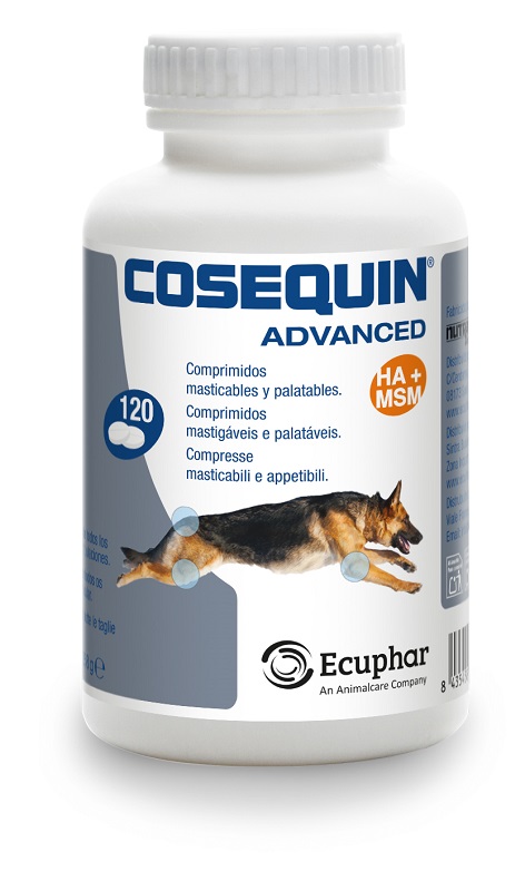 COSEQUIN ADVANCED CANE 120CPR