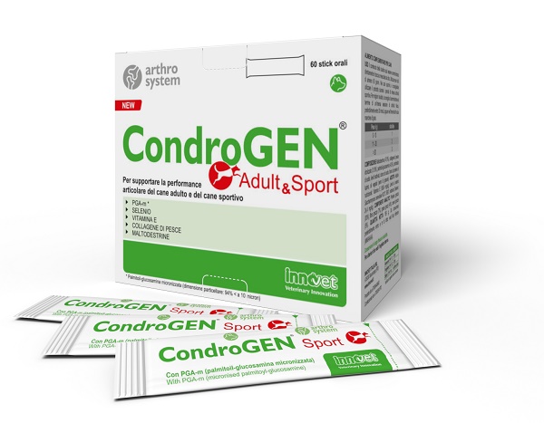 CONDROGEN ADULT&SPORT 60STICK