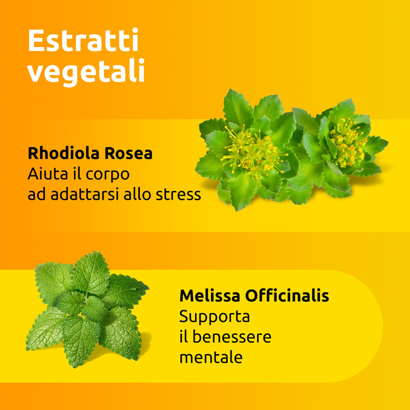 Supradyn Ricarica No Stress Integratore Multivitaminico con Magnesio ed Estratti Vegetali di Rhodiola e Melissa per combattere la Stanchezza Fisica e Mentale, Gusto Limone, 20 Bustine Supradyn Ricarica No Stress Integratore Multivitaminico con Magnesio ed Estratti Vegetali di Rhodiola e Melissa per combattere la Stanchezza Fisica e Mentale, Gusto Limone, 20 Bustine