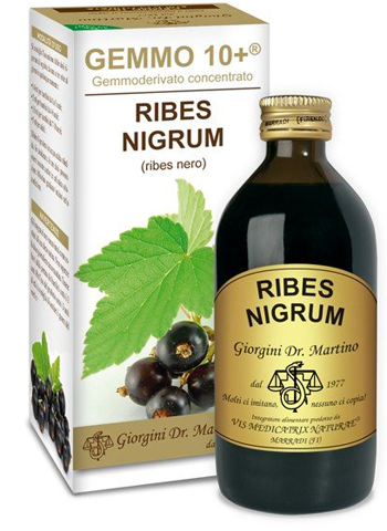 Dr. Giorgini Gemmo 10+ Ribes Nero Liquido Analcoolico 200 ml Dr. Giorgini Gemmo 10+ Ribes Nero Liquido Analcoolico 200 ml