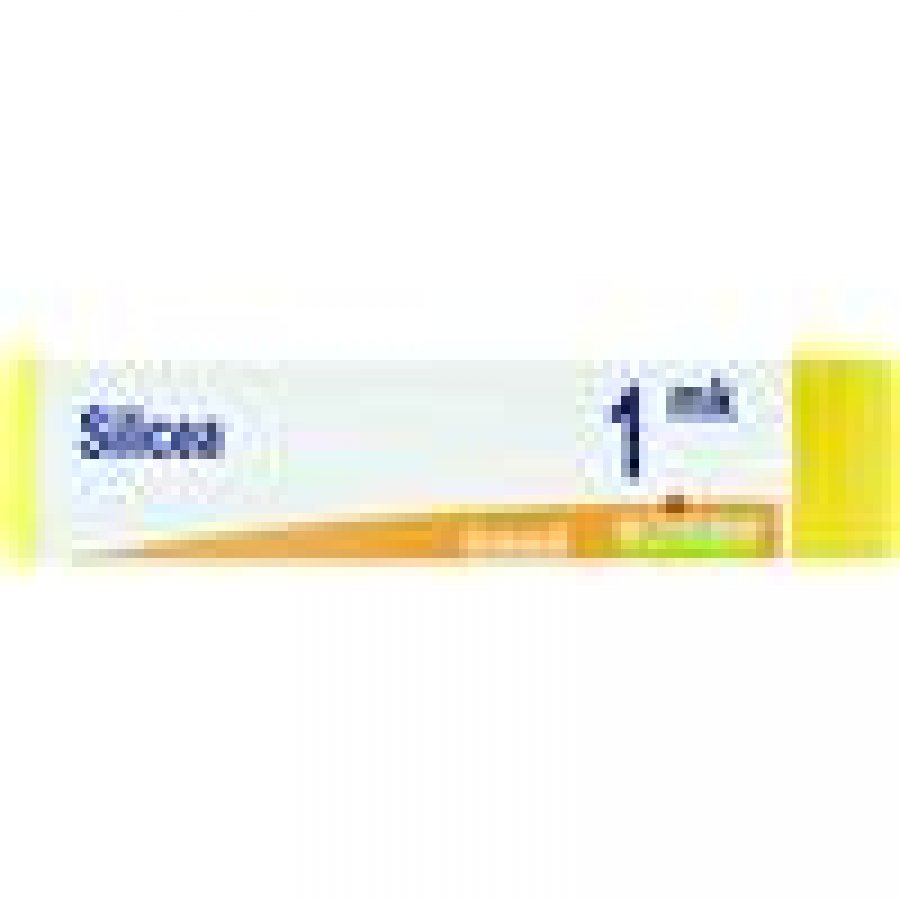 Boiron Silicea MK Globuli Tubo