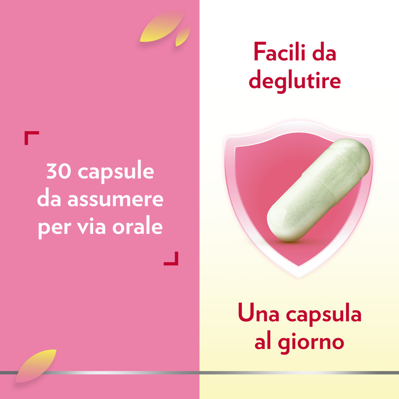 Gyno Canesflora Integratore alimentare per il benessere intimo femminile e il mantenimento della flora vaginale, con Vitamina B2 e lactobacilli, 30 capsule Gyno Canesflora Integratore alimentare per il benessere intimo femminile e il mantenimento della flora vaginale, con Vitamina B2 e lactobacilli, 30 capsule