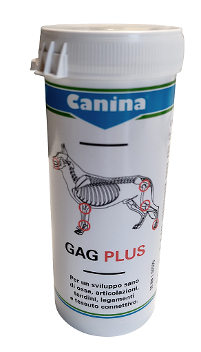 GAGPLUS 100 ca.60 Cpr
