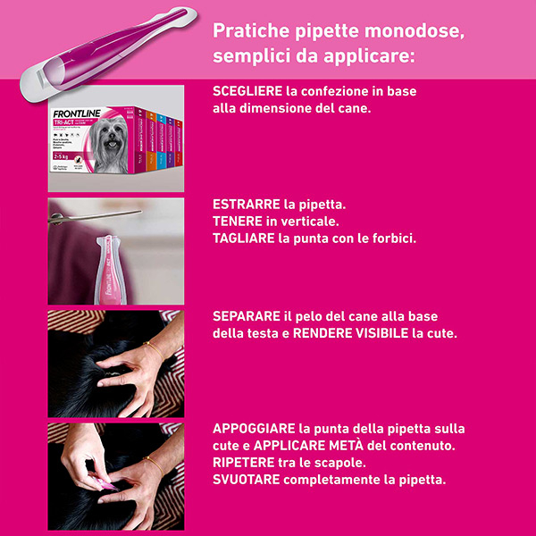 Frontline Tri-Act x1 Pipetta, Antiparassitario Per Cani e Cuccioli (Taglia S 5-10Kg) Contro Pulci, Zecche, Zanzare, Pappataci e Leishmaniosi Frontline Tri-Act x1 Pipetta, Antiparassitario Per Cani e Cuccioli (Taglia S 5-10Kg) Contro Pulci, Zecche, Zanzare, Pappataci e Leishmaniosi