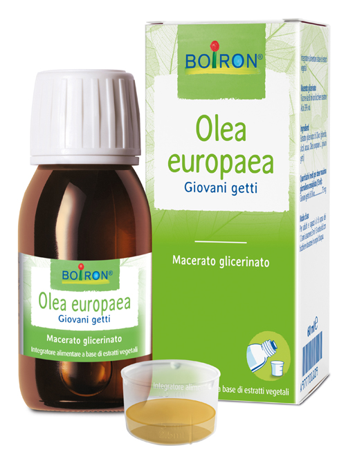 BO.OLEA EUROPEA MG 60ml BO.OLEA EUROPEA MG 60ml