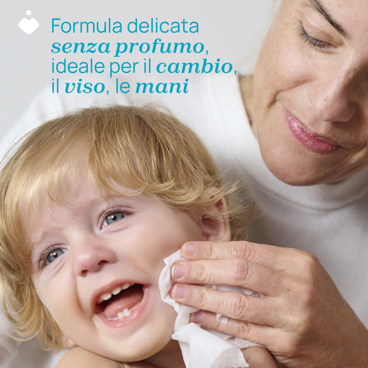 CH SALV DELICATE 72PZ PLAQ