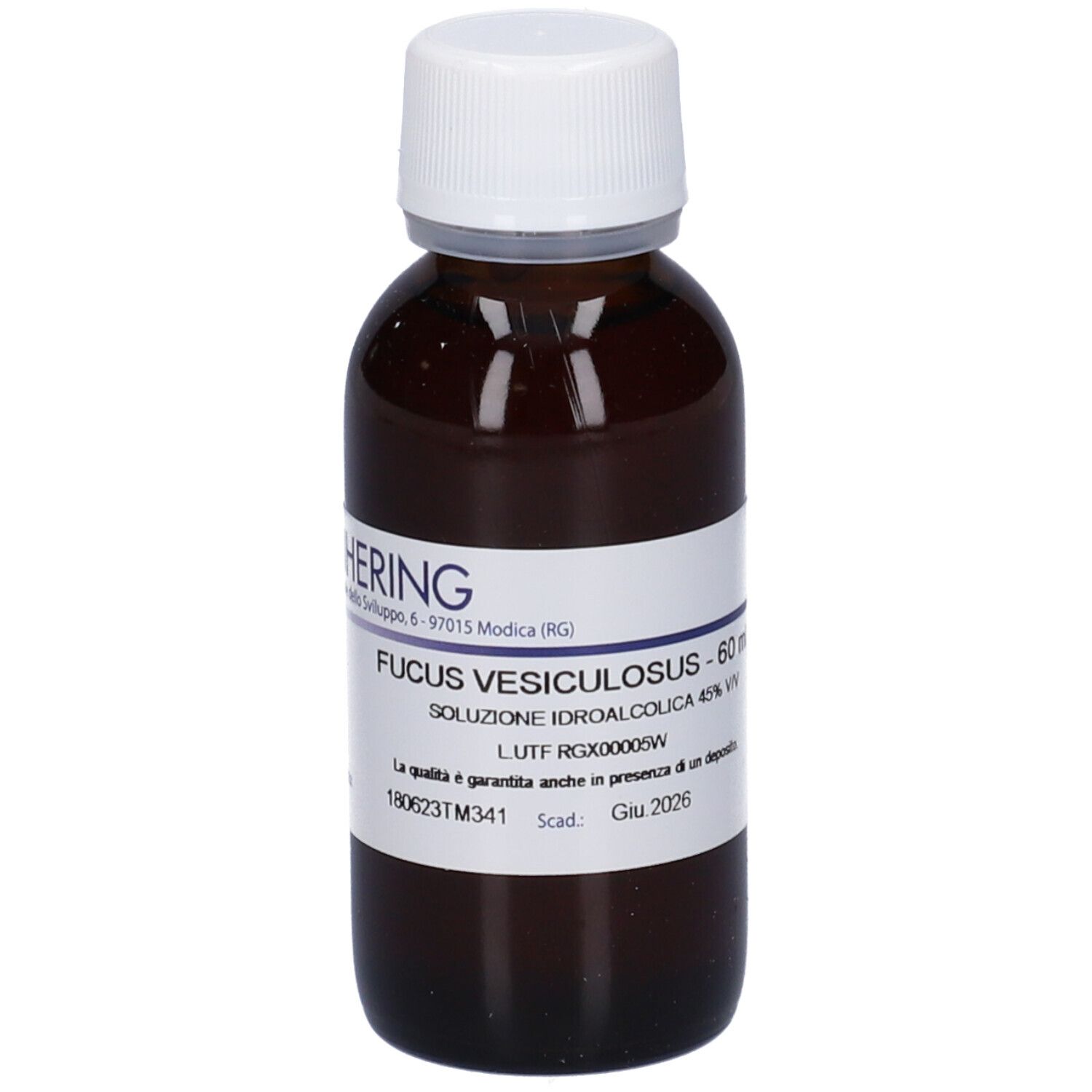 FUCUS VESICULOSUS 60ML TM