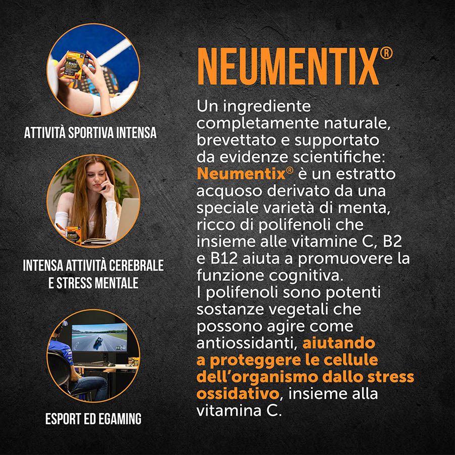 Named Sport - X-Brain 24 Stick - Integratore Per Le Funzioni Cognitive