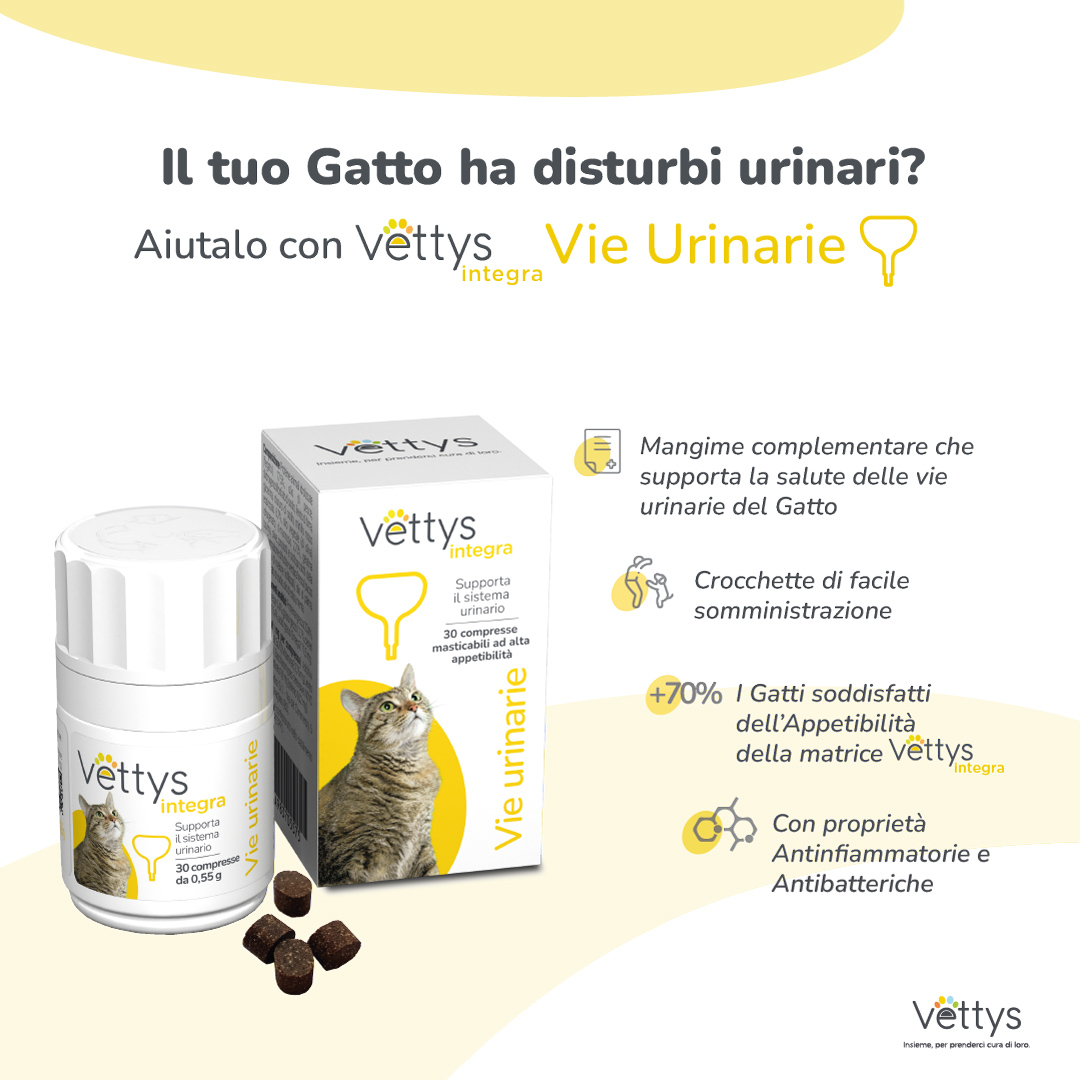 VETTYS INTEGRA VIE URINARIE GATTO