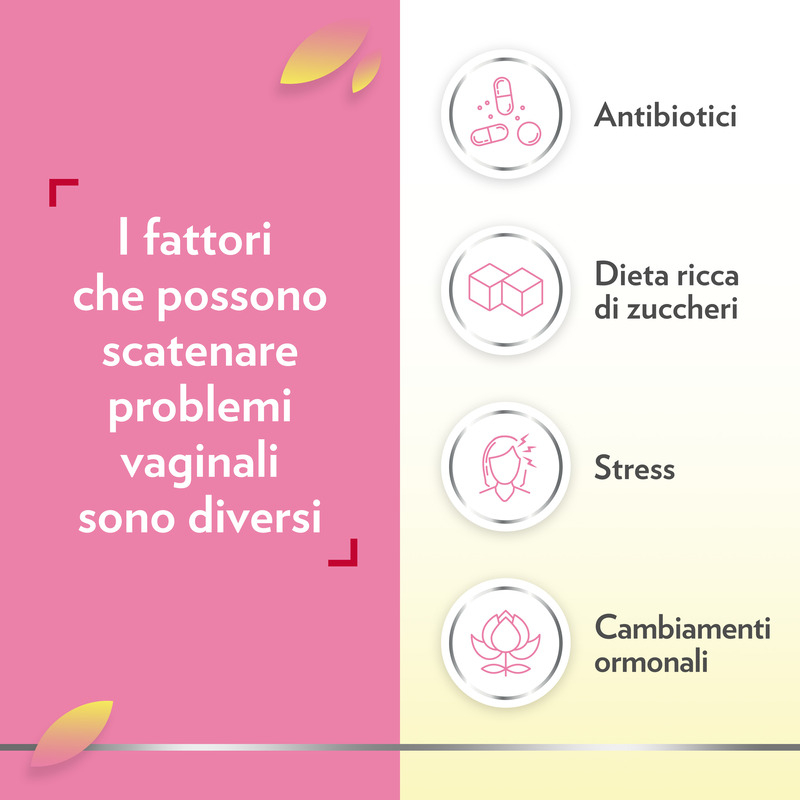 Gyno Canesflora Integratore alimentare per il benessere intimo femminile e il mantenimento della flora vaginale, con Vitamina B2 e lactobacilli, 30 capsule Gyno Canesflora Integratore alimentare per il benessere intimo femminile e il mantenimento della flora vaginale, con Vitamina B2 e lactobacilli, 30 capsule