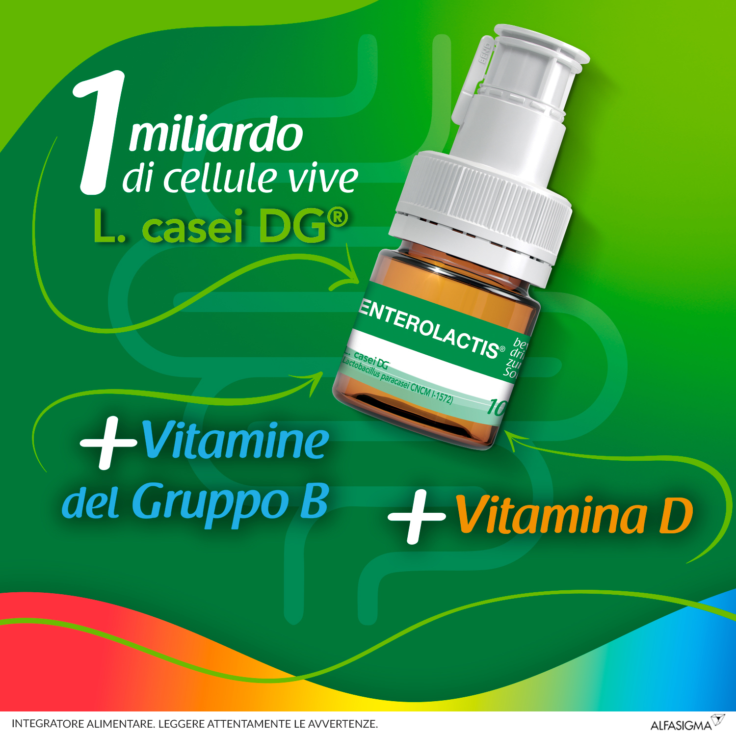 Enterolactis Bambini Bevibile, Integratore Alimentare con Fermenti lattici, probiotici L,Casei DG, 1 Miliardo Cellule Vive, Con Fruttosio, Senza Glutine e Lattosio, 12 Flaconcini da 10ml, Gusto Lampone Enterolactis Bambini Bevibile, Integratore Alimentare con Fermenti lattici, probiotici L,Casei DG, 1 Miliardo Cellule Vive, Con Fruttosio, Senza Glutine e Lattosio, 12 Flaconcini da 10ml, Gusto Lampone