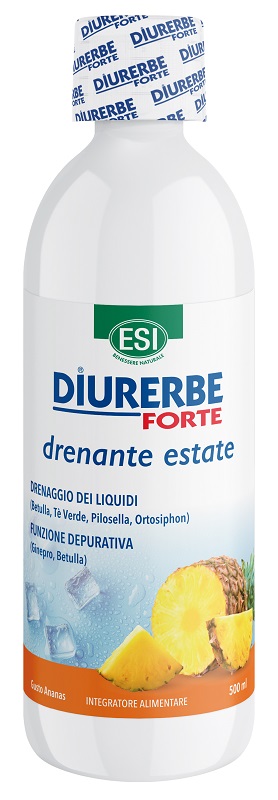 DIURERBE Fte Dren Ananas 500ml