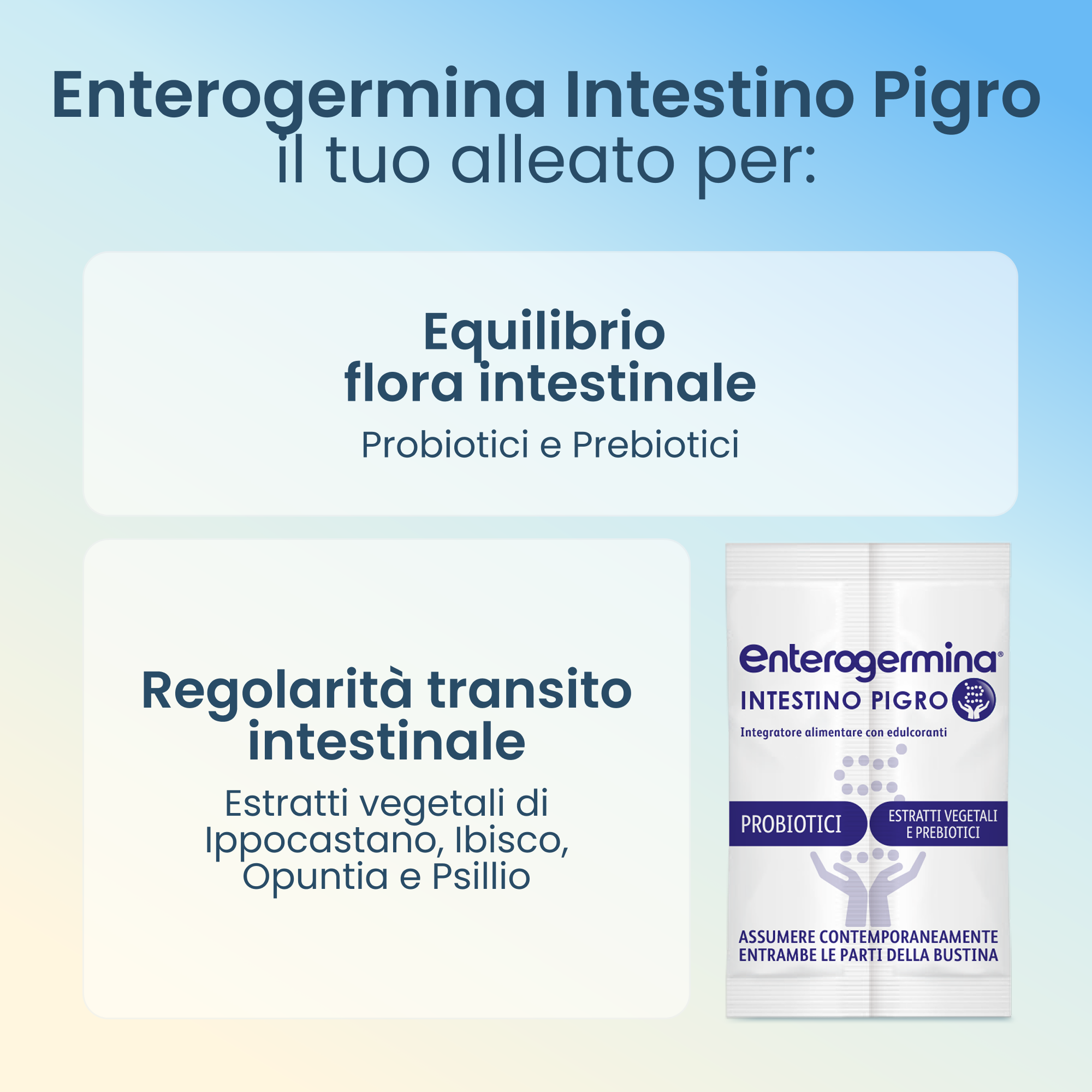 Enterogermina Intestino Pigro 10 Bustine Gusto Frutti di Bosco - Integratore Con Fermenti Lattici, Probiotici E Prebiotici Per La Regolarità Intestinale