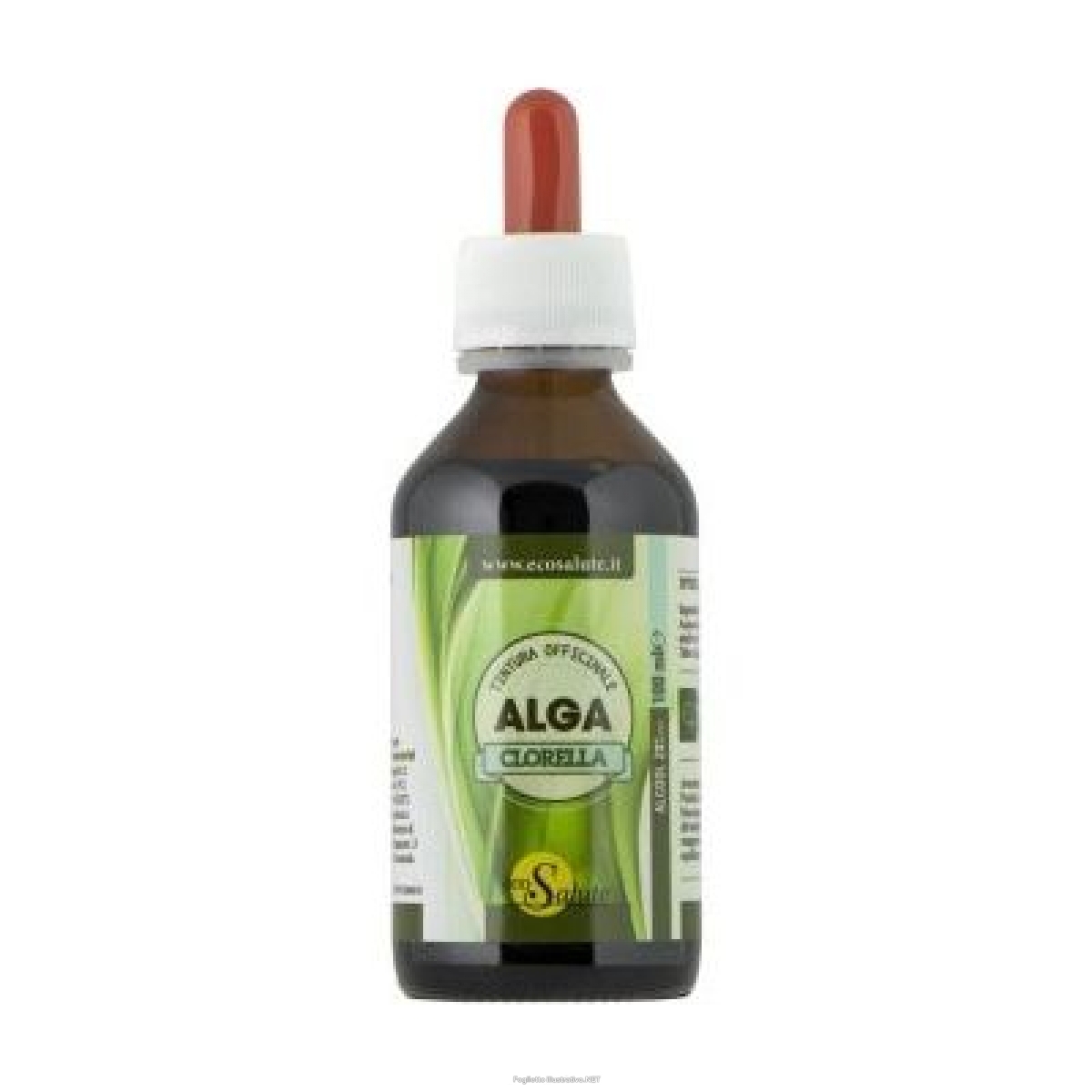 CLORELLA TINT MADRE 100ML ECOSAL