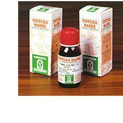 PUNGITOPO 24 50ML TM PUNGITOPO 24 50ML TM