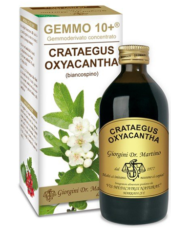 BIANCOSPINO LIQUIDO ANALCOOLICO GEMMO 10+ 200 ML BIANCOSPINO LIQUIDO ANALCOOLICO GEMMO 10+ 200 ML