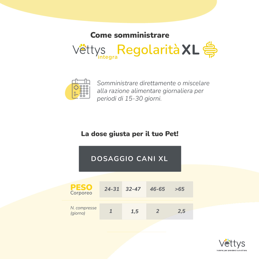 VETTYS Integra Regolar.XL Cane VETTYS Integra Regolar.XL Cane