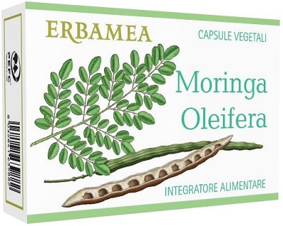 MORINGA OLEIFERA 24CPS
