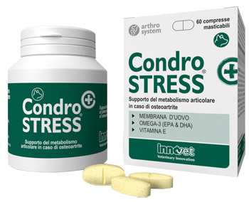 CONDROSTRESS + 60CPR MASTIC CONDROSTRESS + 60CPR MASTIC