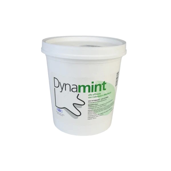 DYNAMINT CREMA MAMMELLA SECCHIO 1KG - ZAC