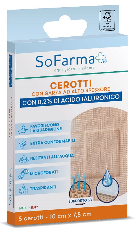 SF+ CER CICATRIZZANTE 10X7,5 5P