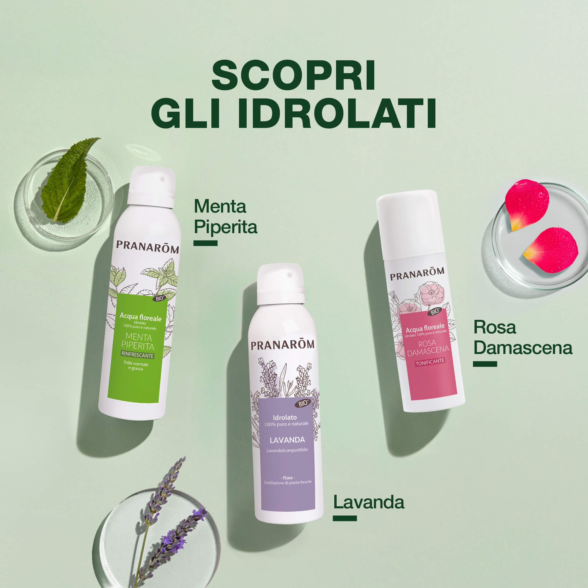 PRANAROM IDROL TEA TREE 150ML