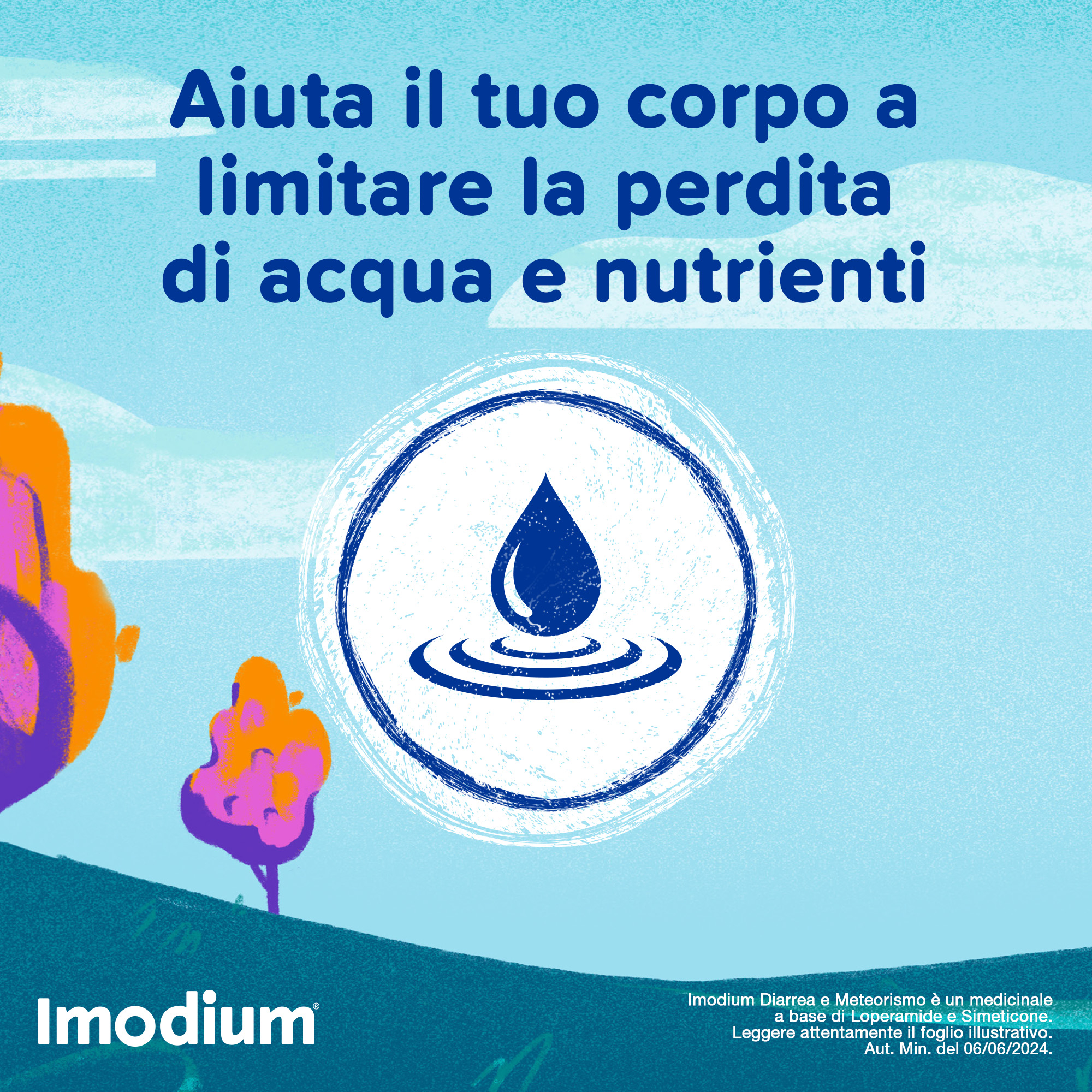 Imodium Diarrea e Meteorismo 12 Compresse