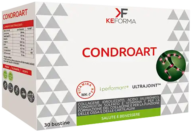 CONDROART 30BUST