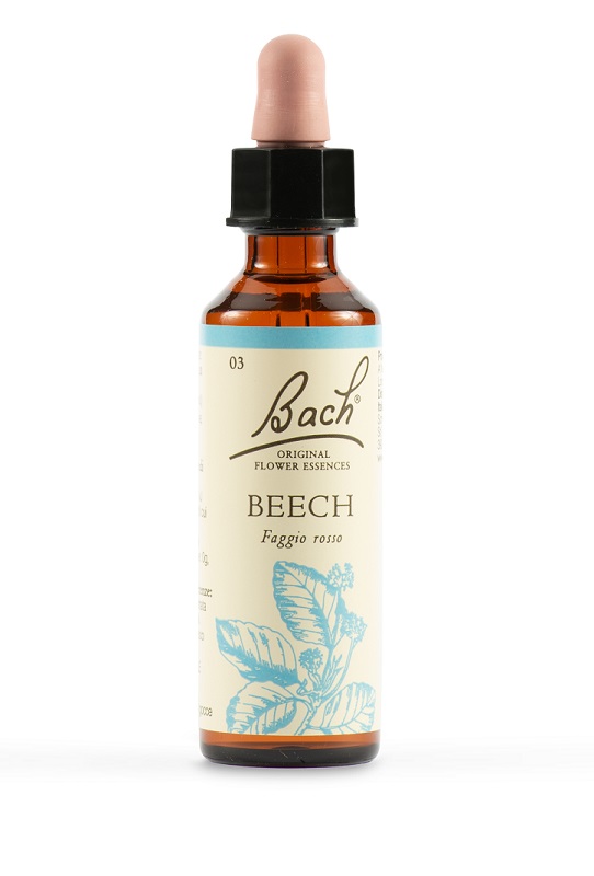 BEECH BACH ORIG 20ML BEECH BACH ORIG 20ML
