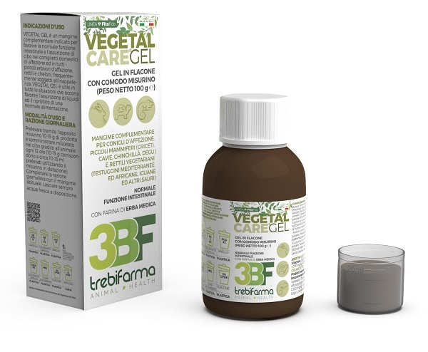 VEGETAL CARE GEL 100G