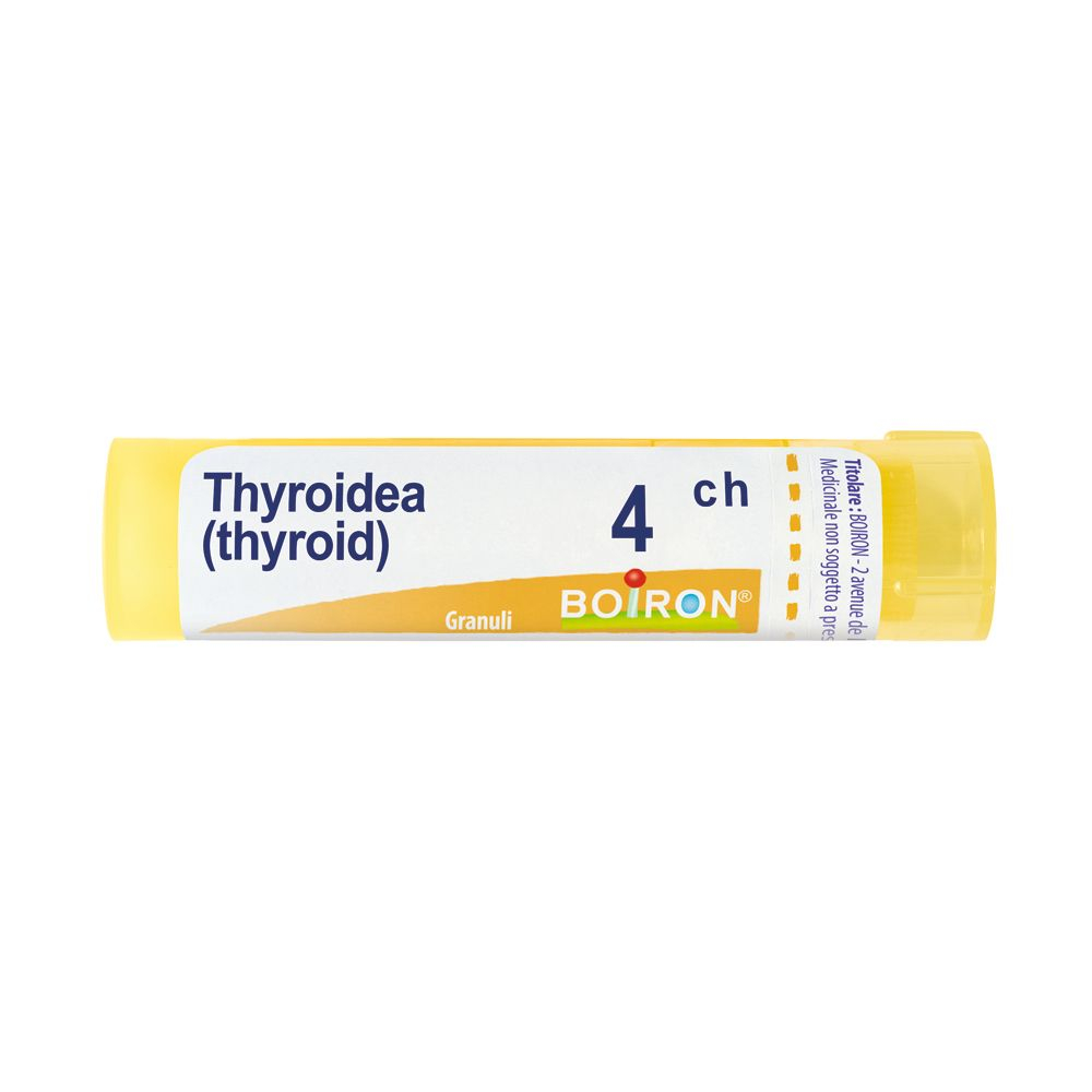 THYROIDINUM 4CH GR BO THYROIDINUM 4CH GR BO