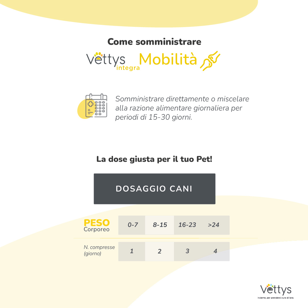 VETTYS Integra Mobilita'Cane VETTYS Integra Mobilita'Cane