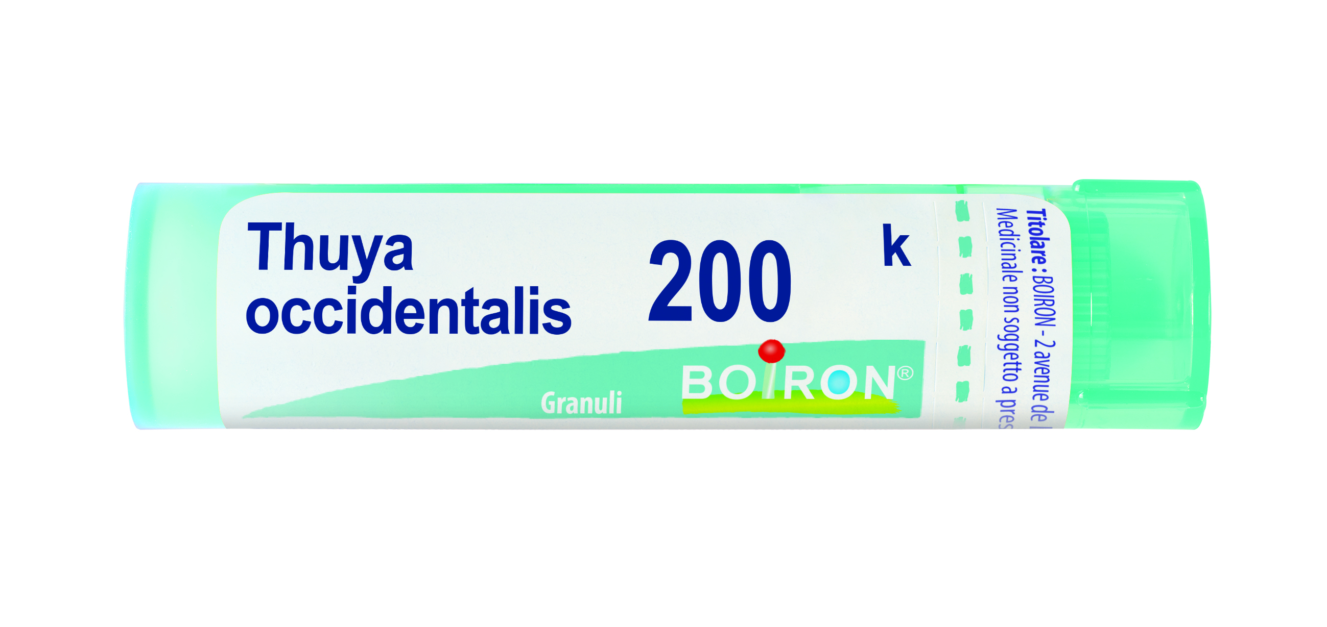 Boiron Thuya Occident 200K Granuli Tubo