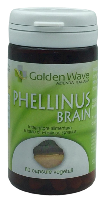 PHELLINUS BRAIN 60CPS VEGETALI