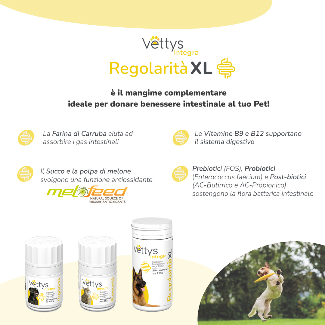VETTYS Integra Regolar.XL Cane VETTYS Integra Regolar.XL Cane