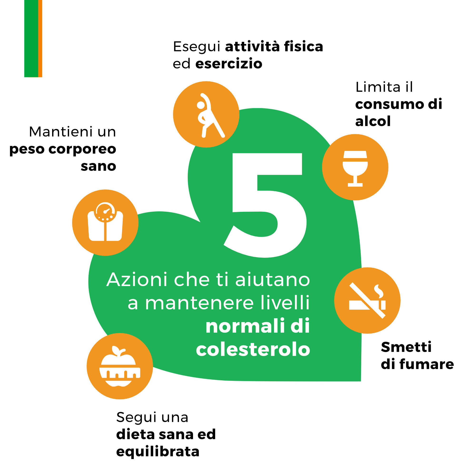 MEDA PHARMA - Armolipid Plus 60 Compresse - Integratore Per Il Colesterolo - Confezione Italiana Originale 
