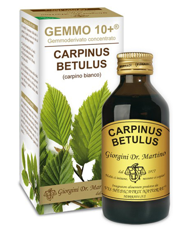 Dr. Giorgini Gemmo 10+ Carpinus Betulus Integratore 100 ml Dr. Giorgini Gemmo 10+ Carpinus Betulus Integratore 100 ml