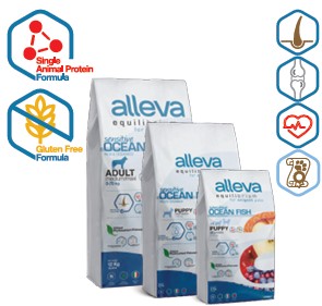 ALLEVA EQUILIBRIUM DOG PUPPY SENSITIVE OCEAN FISH MINI/MEDIUM KG 5 - P60024