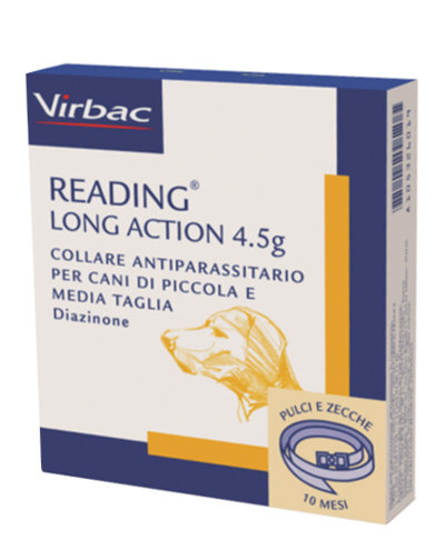 READING LONG ACT CANI PI-ME