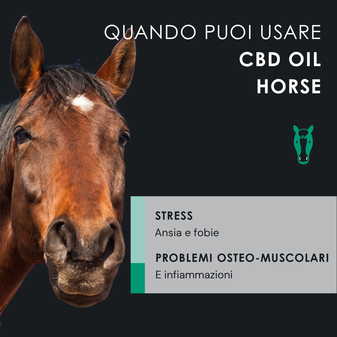 EUSPHERA EU4HORSE 50ML