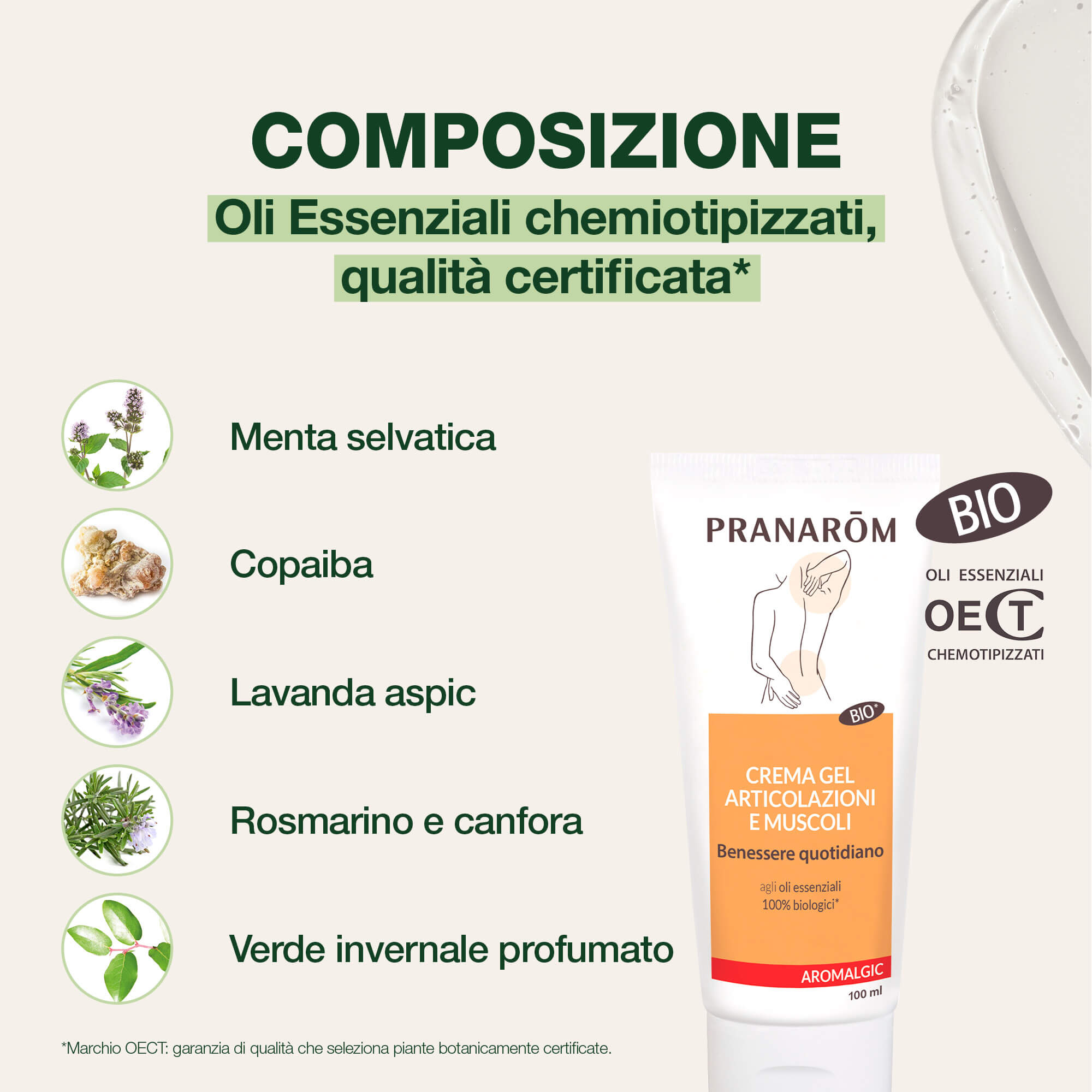 PRANAROM ALGIC Crema Art.100ml