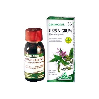 Specchiasol Gemmosol 36 Ribes Nero Integratore Vie Respiratorie 100 ml