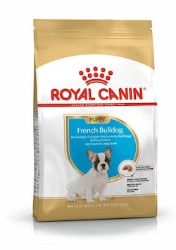 BHN FRENCH BULLDOG PUPPY 3KG