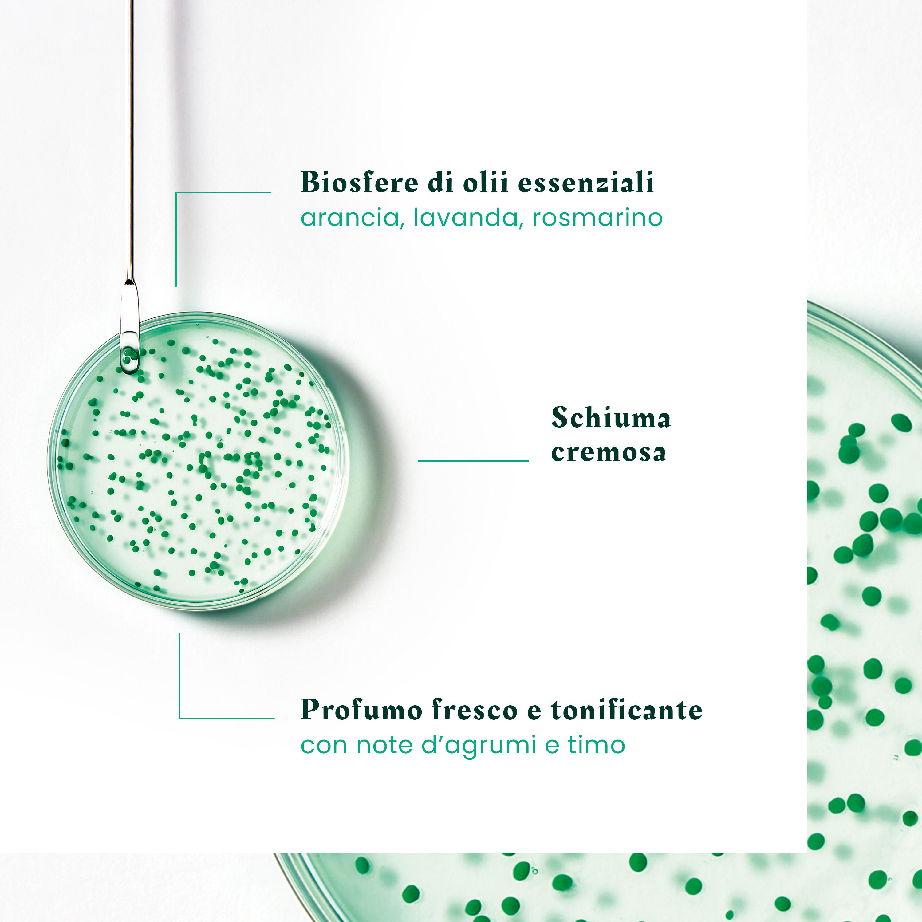 René Furterer Forticea - Shampoo Fortificante Rivitalizzante 200 ml