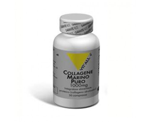 Santiveri Vital Plus Collagene Marino Puro integratore alimentare utile per la funzionalit Santiveri Vital Plus Collagene Marino Puro integratore alimentare utile per la funzionalit