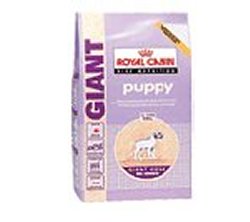 SHN GIANT PUPPY 15KG