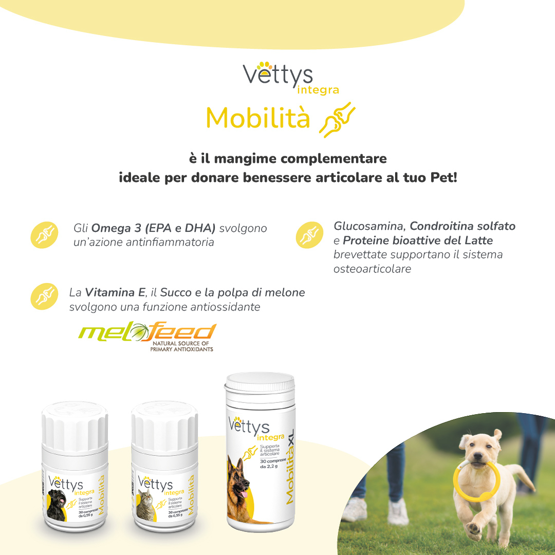 VETTYS Integra Mobilita'Gatto VETTYS Integra Mobilita'Gatto